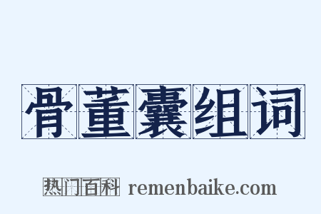 骨董囊组词是什么意思的图片